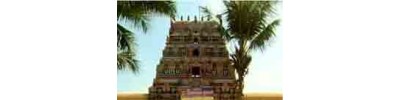 21. திருநந்திபுர விண்ணகரம்